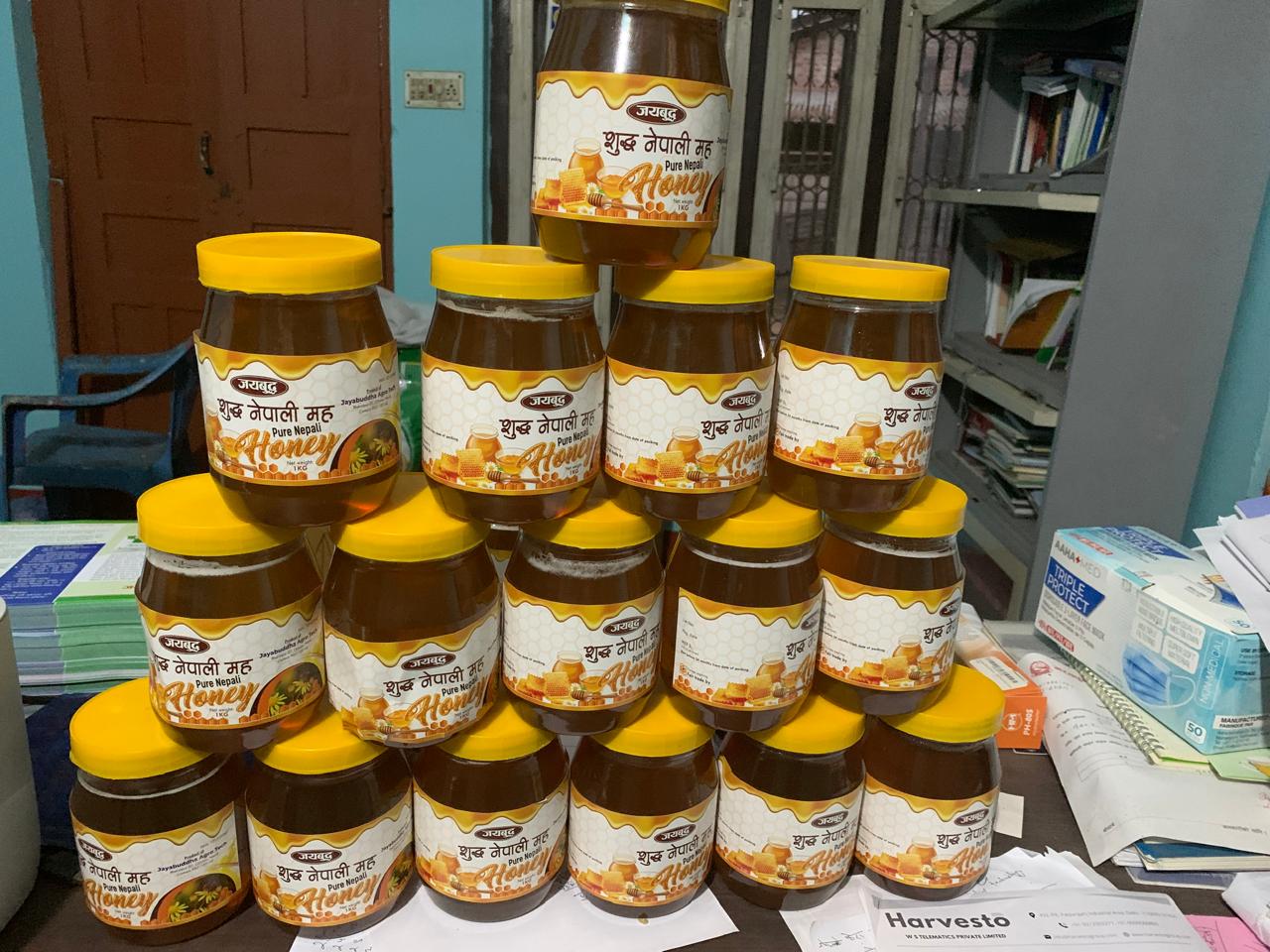 Organic beekeeping and apiculture farm Bharatpur