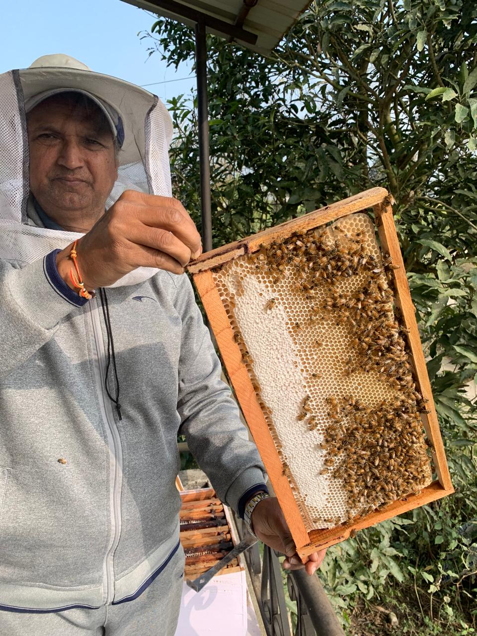 Natural multiflora honey collection Nepal